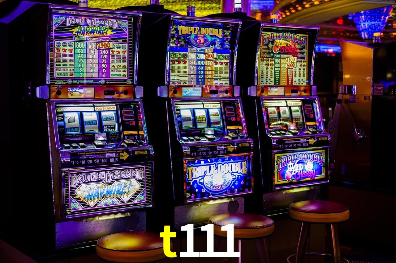 Programa VIP t111